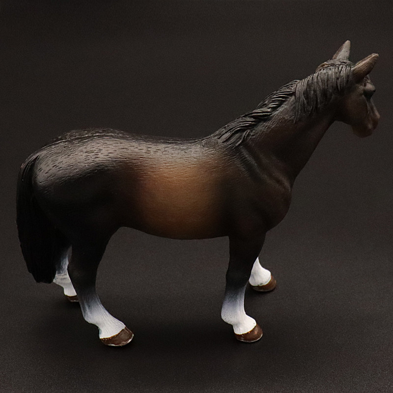 Clydesdale Hanoverian Quatema  - Kids First Education 评论和价格