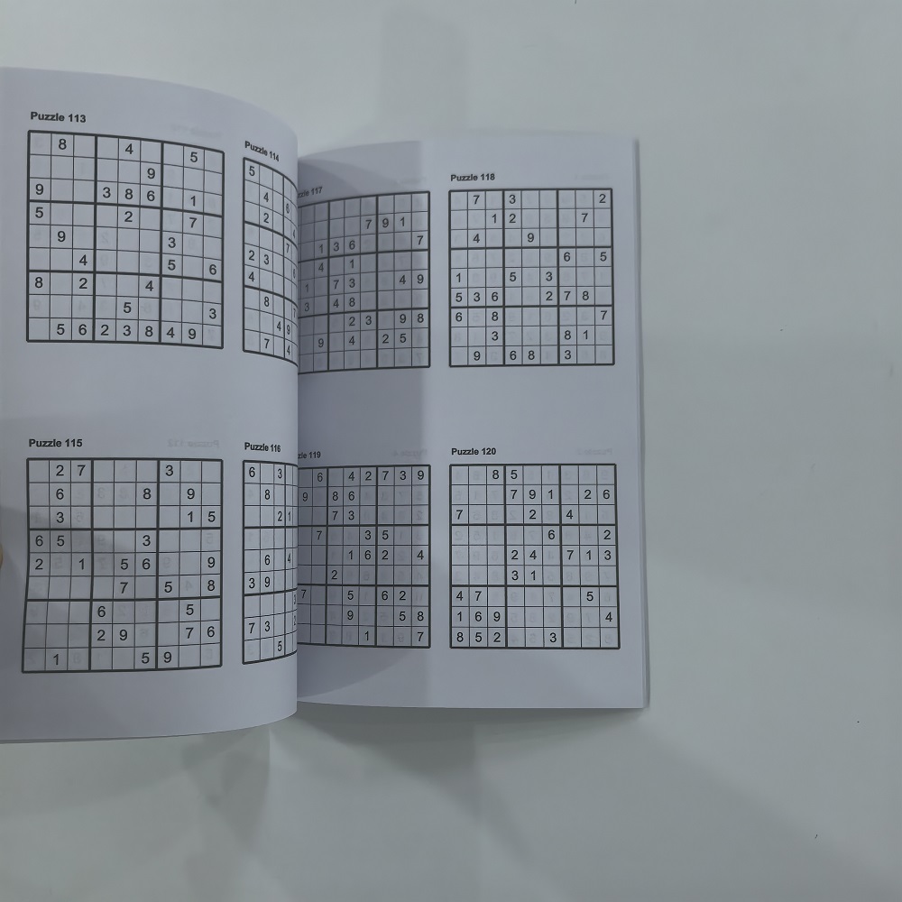 120 Puzzles English Sudoku Boo - Kids Education Activities 评论和价格